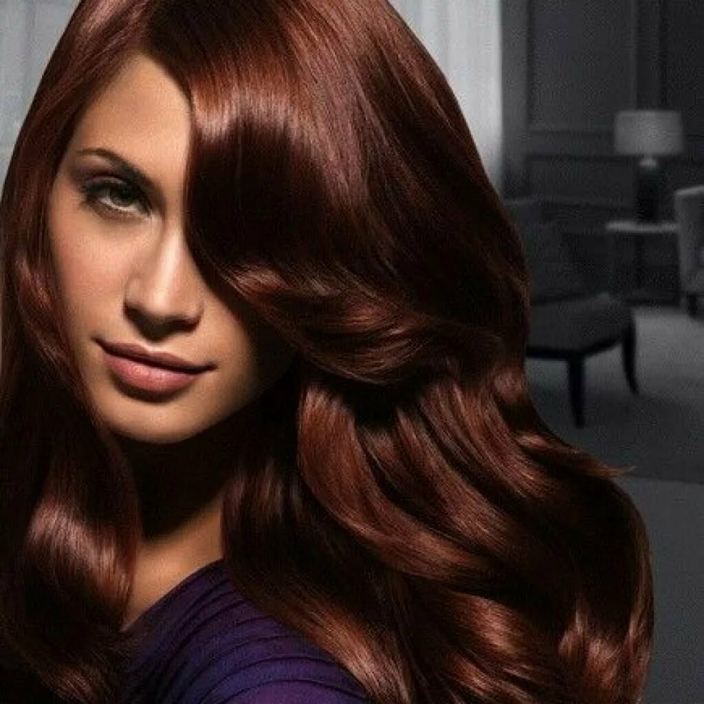 Светлый каштан цвет волос фото