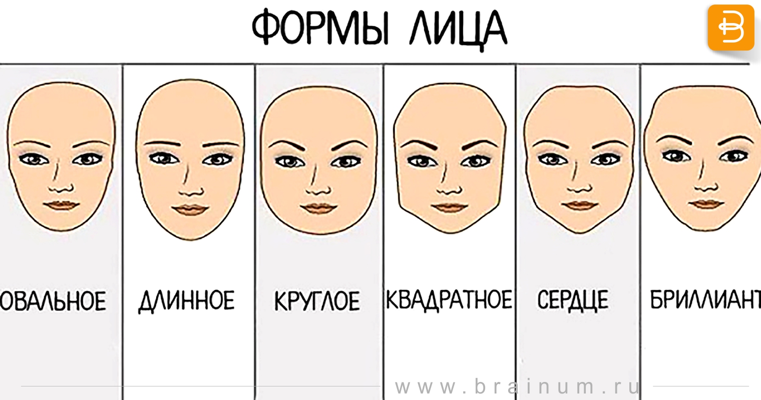 Типы формы лица