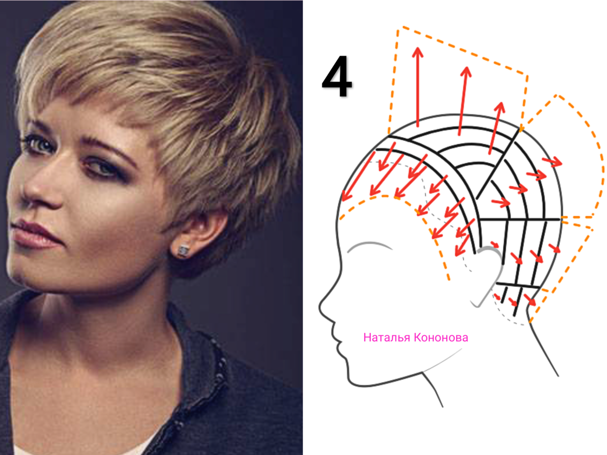 Наталья кононова схемы стрижек