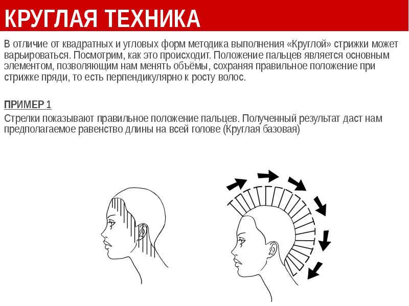 Форма техника. Схема стрижки круглая линия. Круглая форма стрижки схема. Равномерная стрижка технология выполнения. Равномерная стрижка схема выполнения.