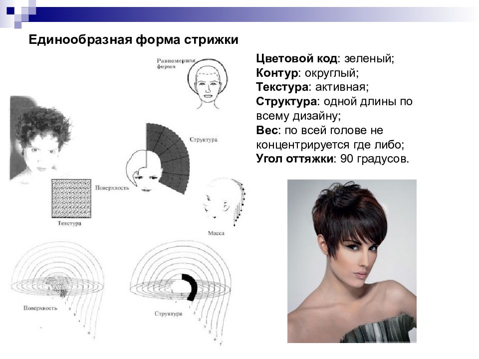 Схема стрижки равномерной стрижки