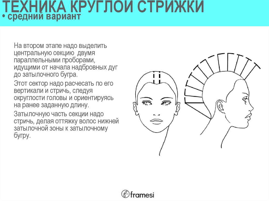 Схемы стрижек для начинающих парикмахеров с описанием женские и фото