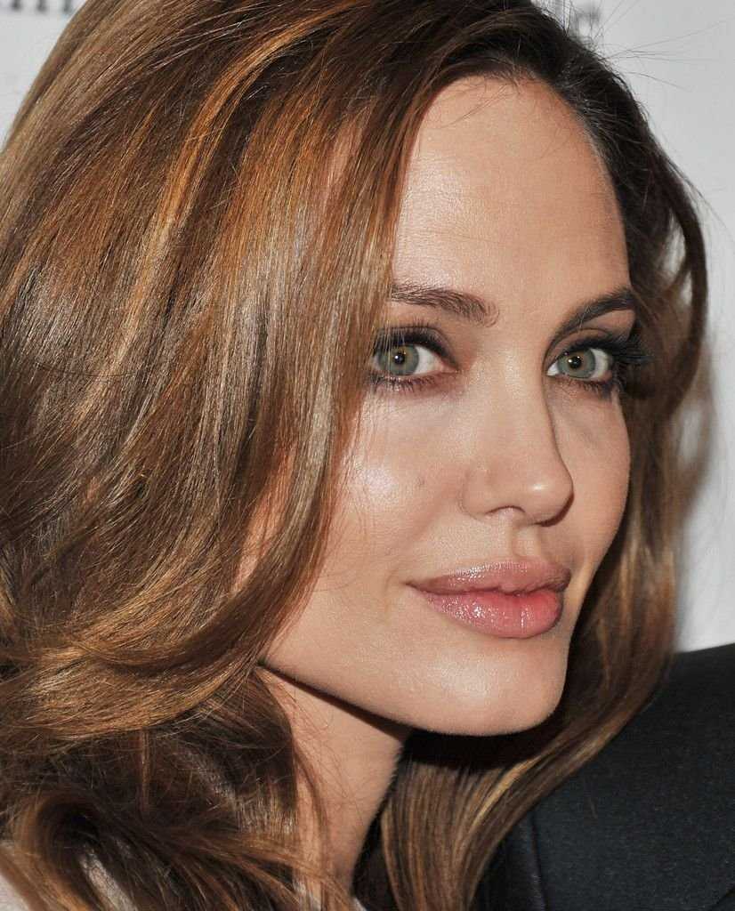 Анджелина Джоли цвет волос молочный шоколад