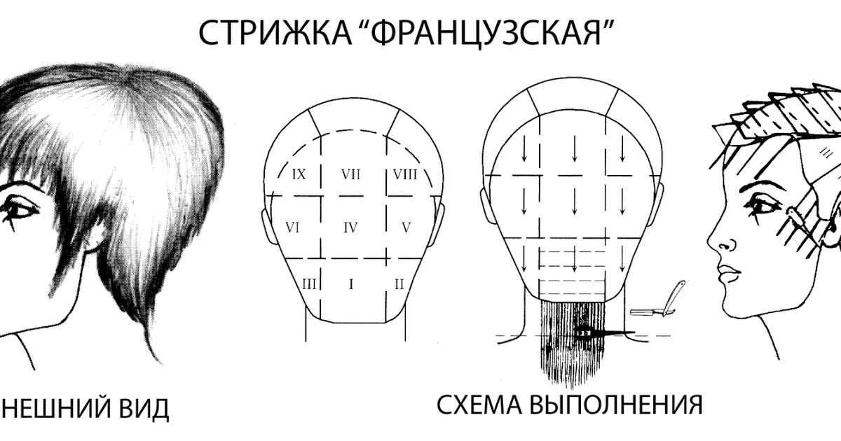 Схемы женских стрижек для парикмахеров с описанием и фото