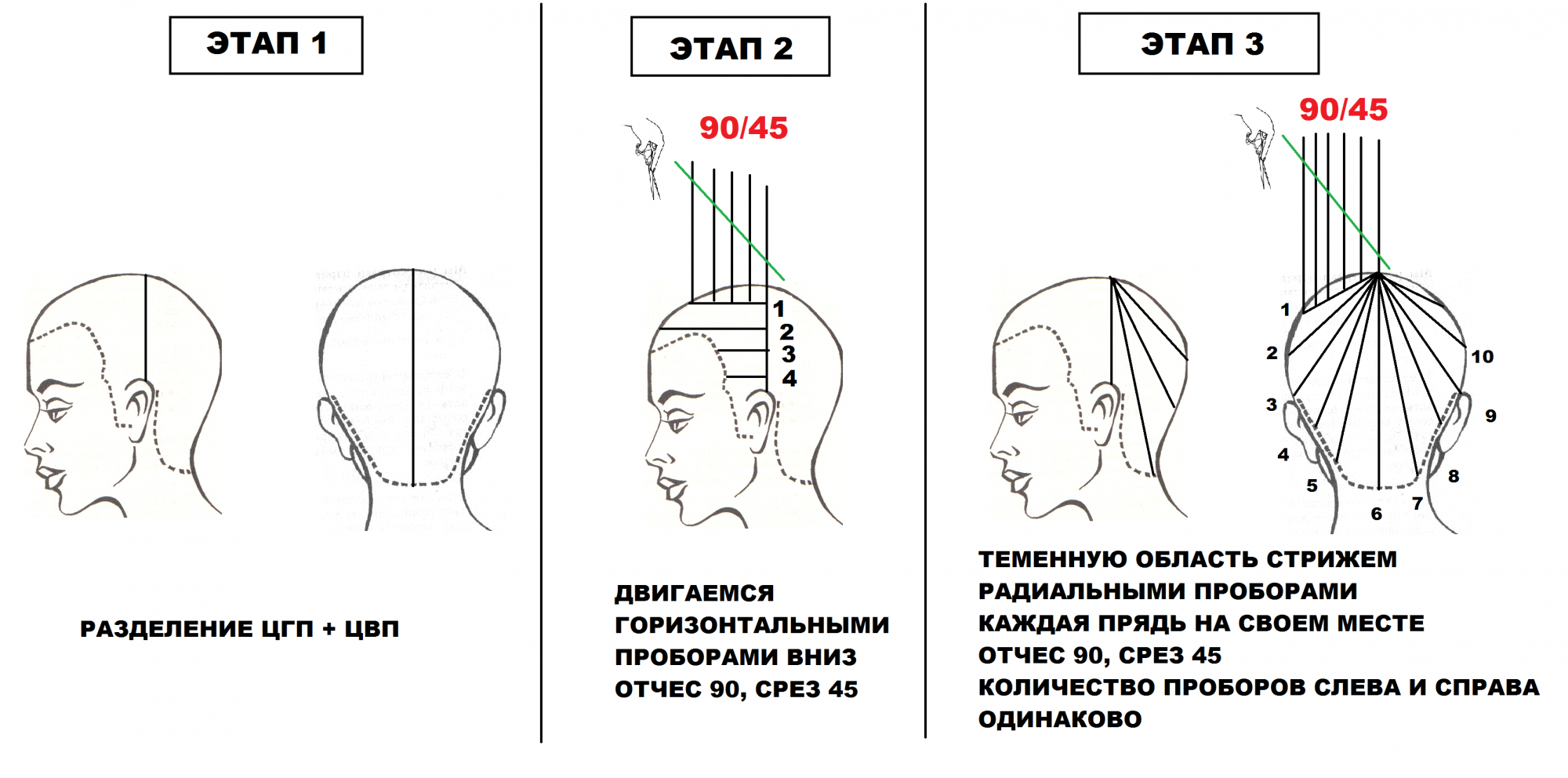 Схема стрижки равномерной стрижки