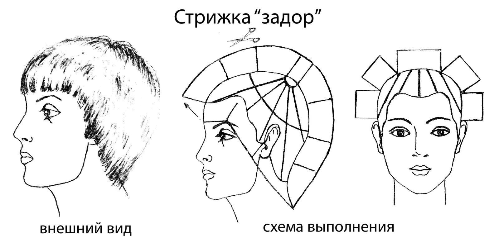 Бобрик стрижка схема выполнения