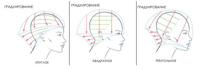 Круглая градуировка стрижка схема. Градуировка схема стрижки на короткие волосы. Каре треугольное с градуировкой схема. Градуированная форма стрижки схема.