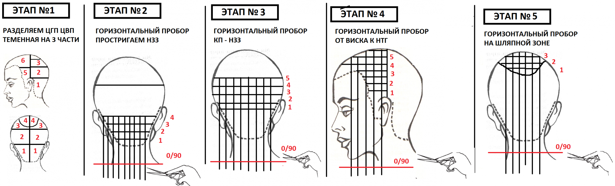 Схема длины волос